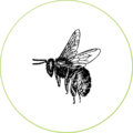 abejas-alimentacion-dadelosagricola.com
