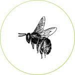 abejas-alimentacion-dadelosagricola.com