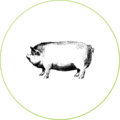 cerdos-alimentacion-dadelosagricola.com