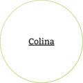 colina-ingredientes-dadelosagricola.com