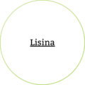 lisina-ingredientes-dadelosagricola.com