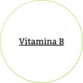 vitamina-b-ingredientes-dadelosagricola.com